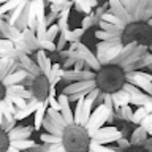 Meet your Posher, Vicky-leigh